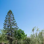 Апарт-отель Spilia & Mykonos