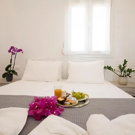 Spilia & Mykonos 아파트호텔 애그라리