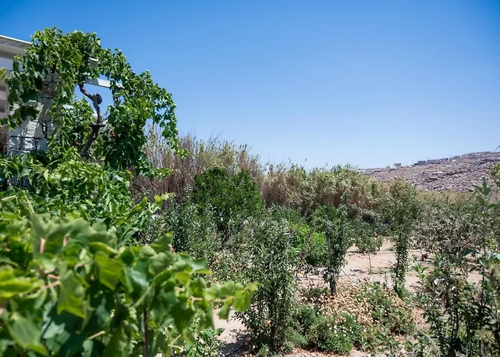 Appart hôtel Spilia & Mykonos Agrari (Mykonos)