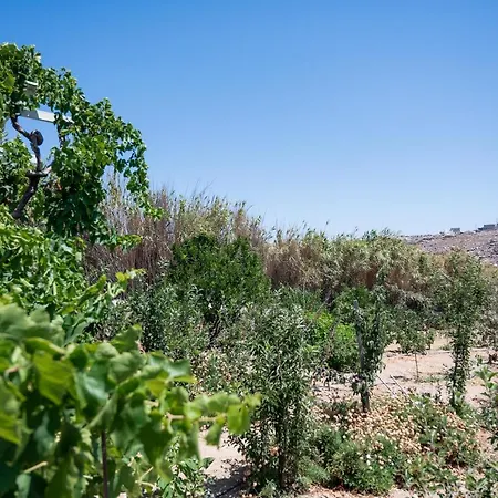 Aparthotel Spilia & Mykonos Agrari (Mykonos)